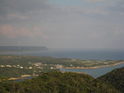 LpA